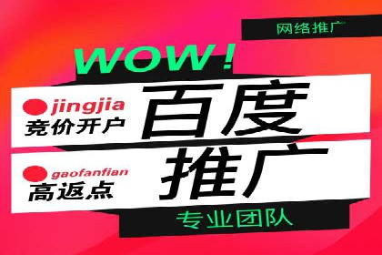 百度SEO推广公司案例解读：实战优化策略大揭秘